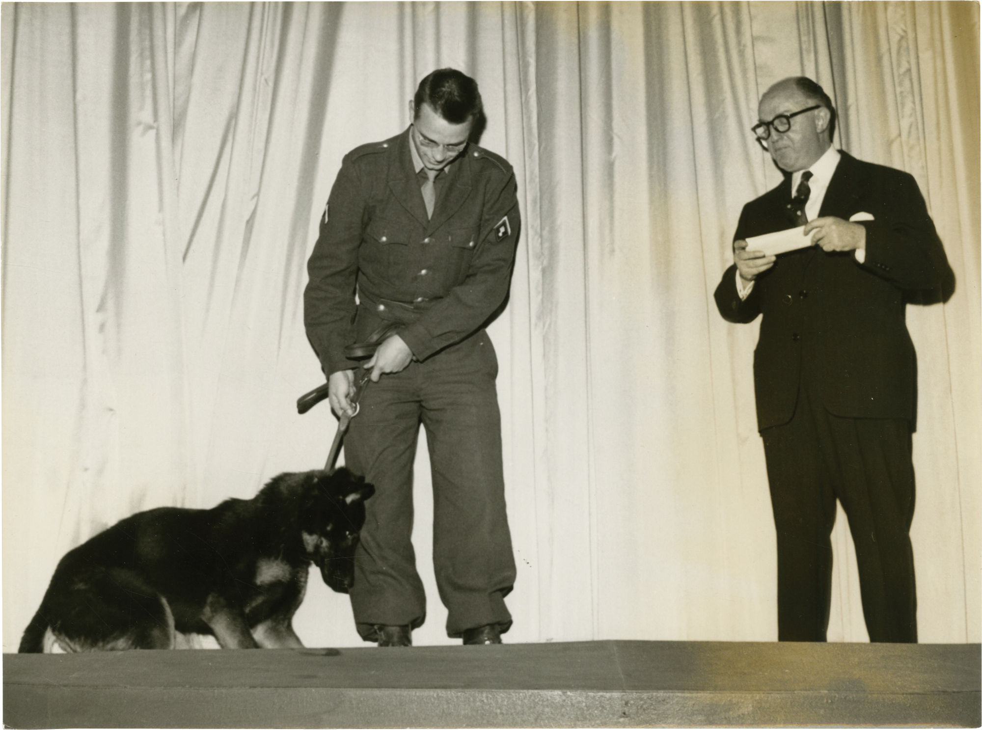Old Yeller [Le Fidele Vagabond] (Collection of 6 press photographs
