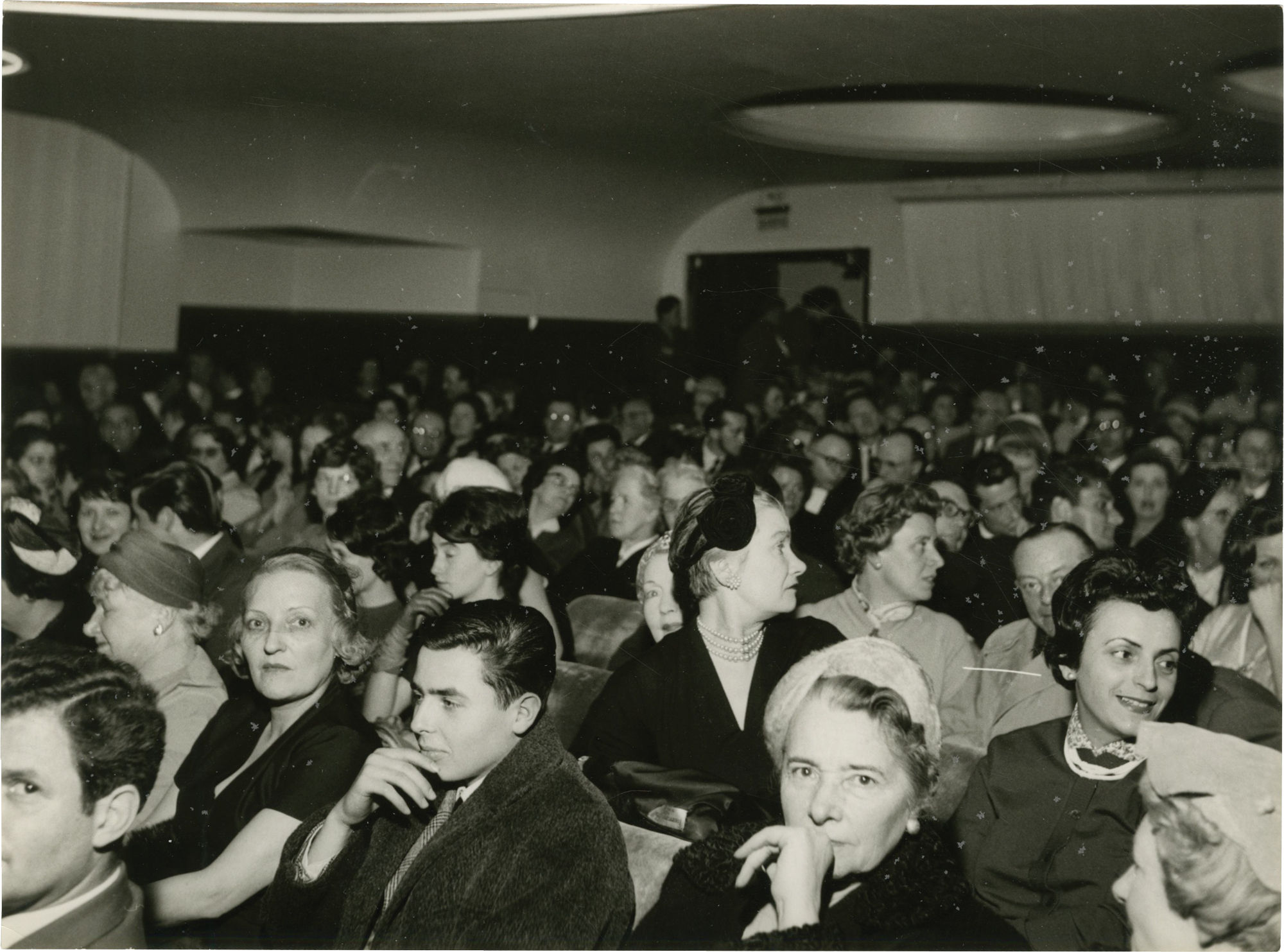 Old Yeller [Le Fidele Vagabond] (Collection of 6 press photographs