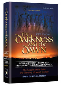 cover of The Darkness and the Dawn