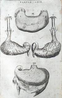 De anatome corporis humani libri VII