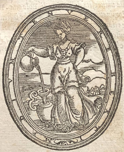 Opera di agricoltura. Nellaqual si contiene a che modo si debbe coltivar la terra: seminare, inserire gli alberi, governar li giardini e gli horti. .