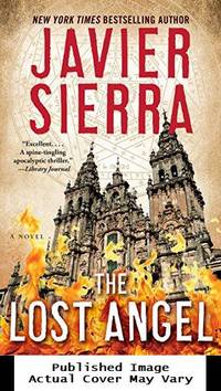 The Lost Angel: A Novel