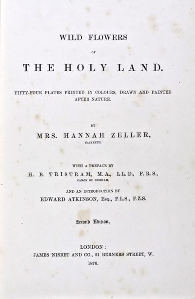 Wild Flowers of the Holy Land