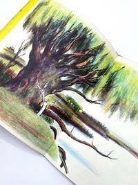 cover of THE VILLAGE TREE