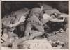 Tower of Lust [La tour de Nesle] (Original oversize photograph from the 1955 film)