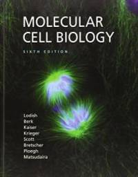 Molecular Cell Biology by Lodish, Harvey - 2007-06-15