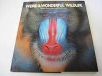 Weird and Wonderful Wild Life