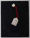 The Memoirs of Ruth Anne Fairchild Espoir 1958