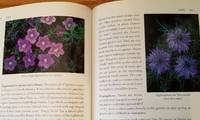 A Book of Blue Flowers.