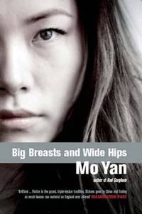 Big Breasts, Wide Hips by Yan Mo