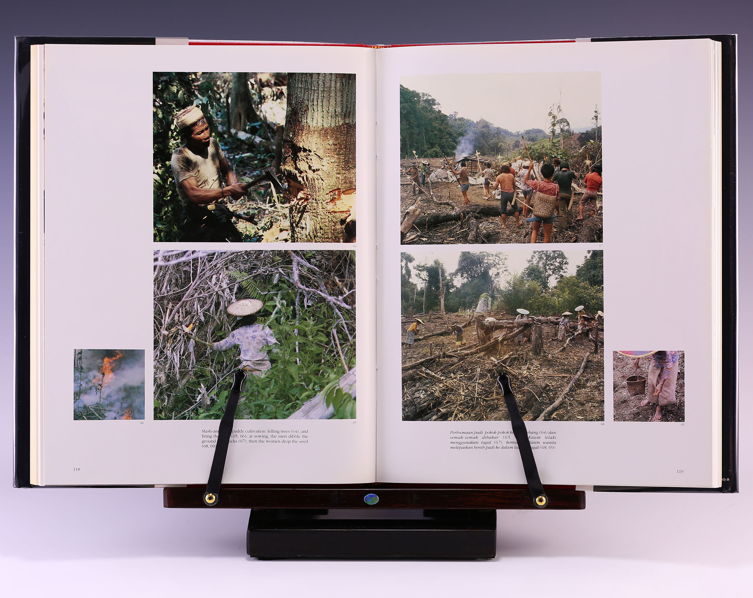 洋書 Hornbill and Dragon Hornbill and Dragon: Arts and Culture of Borneo | Bernard