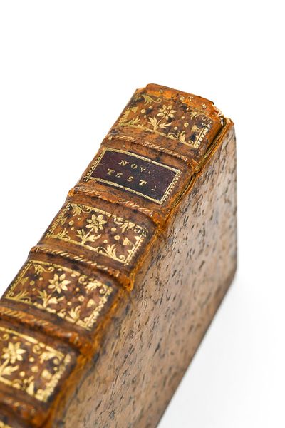 NOVUM TESTAMENTUM