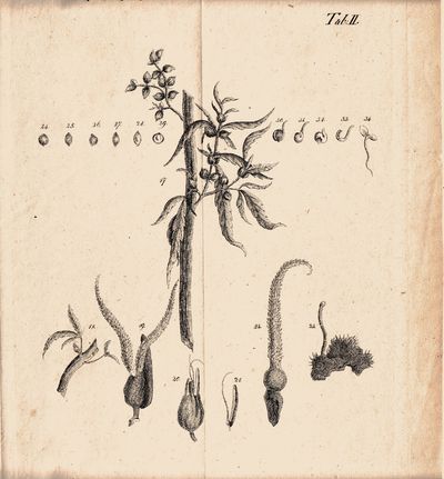 Tubingen: H Laupp, 1821. First Edition. Contemporary marbled paper over limp paste paper 