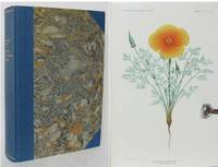 Flora of Santa Catalina Island (California).