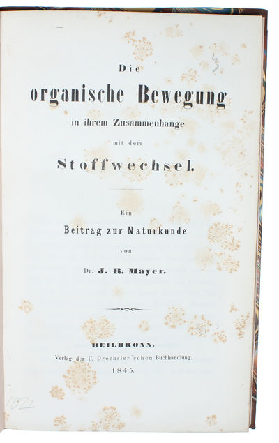 Die organische Bewegung in ihrem Zusammenhange…