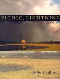 Picnic, Lightning