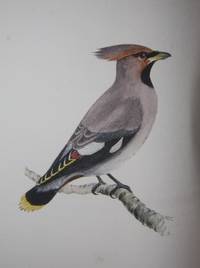 Coloured Illustrations of British Birds and their Eggs (Seven Volumes)