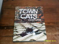 image of Town Cats