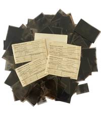 Female WAVES in the U.S. Navy During WWII, Large Archive of 135 Photo Negatives