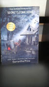 Secrets Come Home LARGE PRINT: Amish Suspense and Mystery