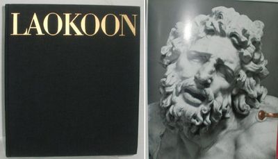 Laokoon Ausdruck des Schmerzes durch zwei .