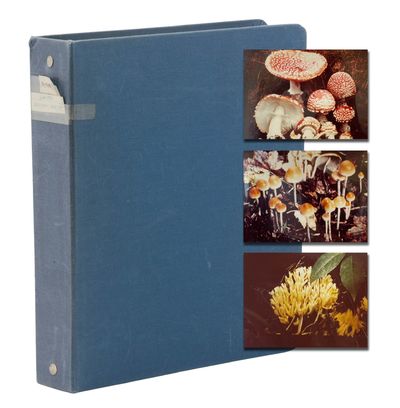 Photo Album with 232 Photographs of Mushrooms In Their Native Habitat