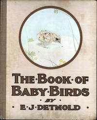 The Book Of Baby Birds