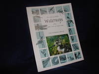 image of The Nature of Florida's Waterways, Including Dragonflies, Cattails, and Mangrove Snapper